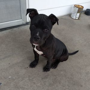 Meet your Posher, Rick